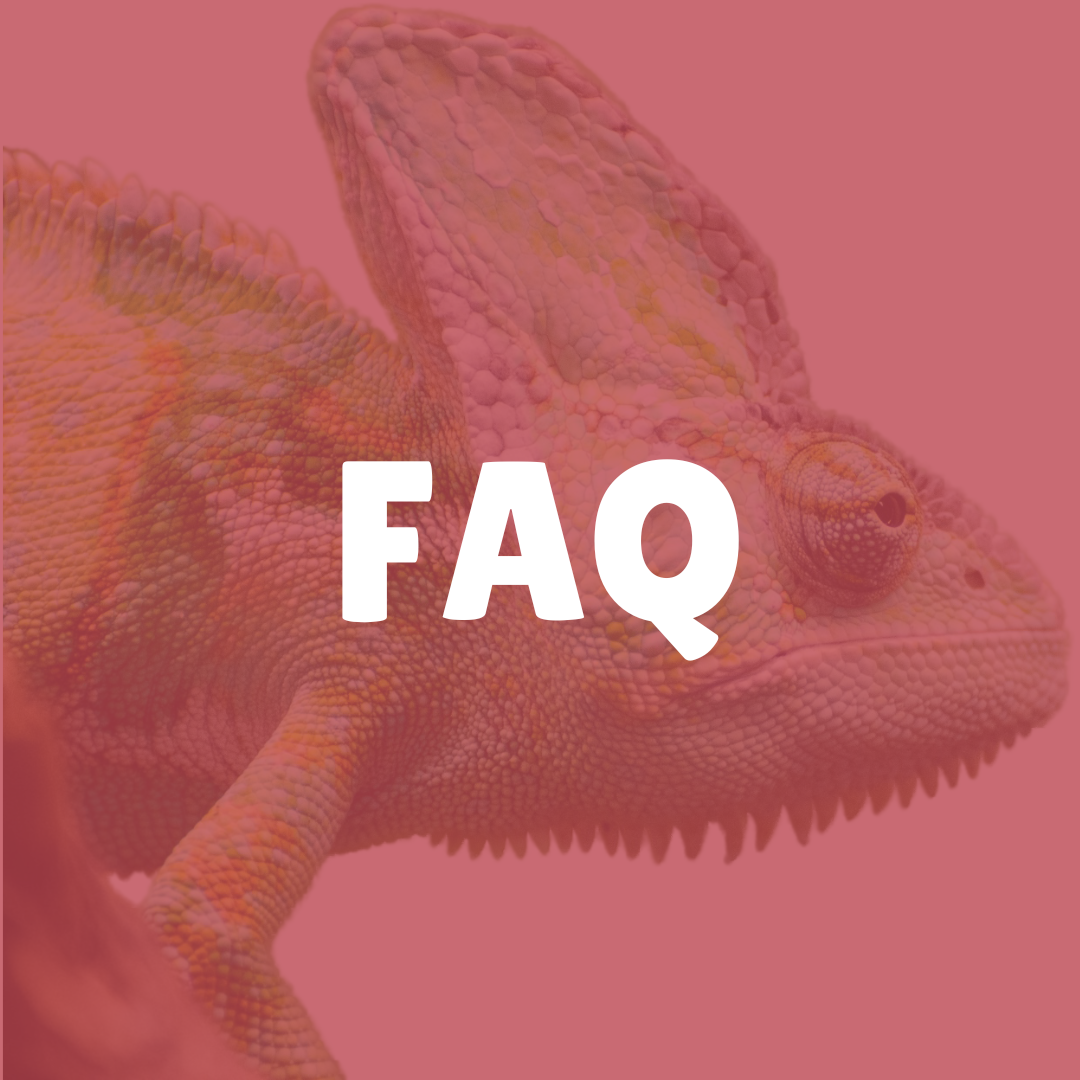 PPGA FAQ button